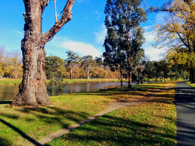 Photo of Melbourne VIC, Australia by TheCorporateWanderer