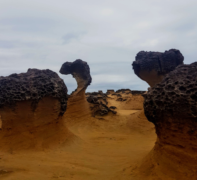 Photo of Yehliu Geopark, 港東路 Wanli District, New Taipei City, Taiwan by TheCorporateWanderer