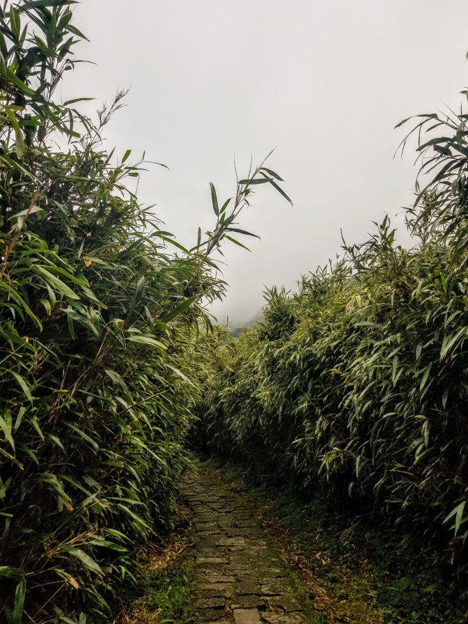 Photo of Yangmingshan National Park, Taiwan by TheCorporateWanderer