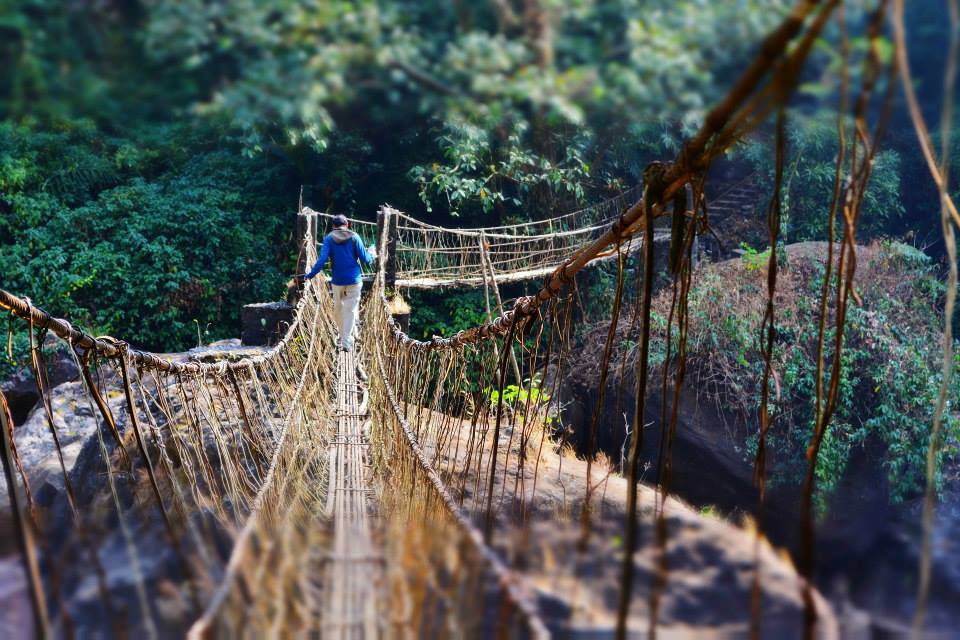 Photo of The North East trail: The Route to the Root bridges 16/24 by Kanj Saurav