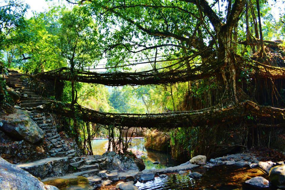 Photo of The North East trail: The Route to the Root bridges 15/24 by Kanj Saurav
