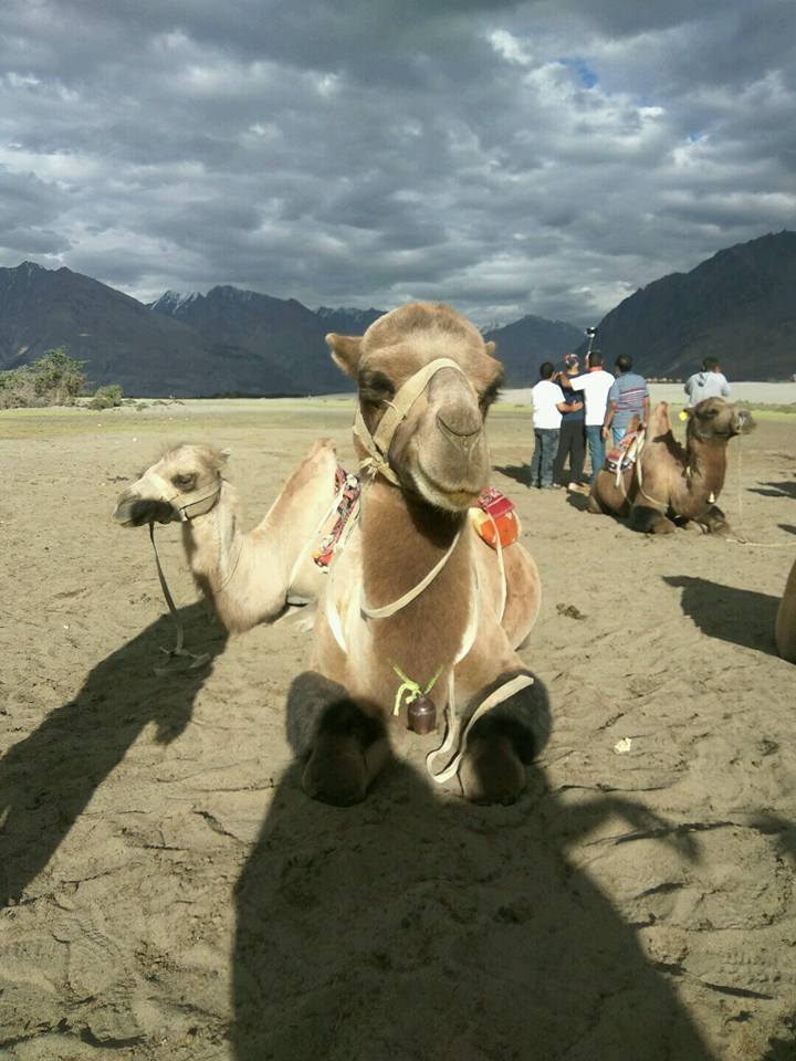 Photo of Road trip to Leh Ladakh by Pranoti Pawar