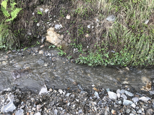 Photo of Live the Himalayan way 2/3 by Subha Thangaraj