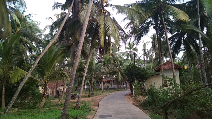 Photo of Waking Up in Udupi by Sheeba Kaul