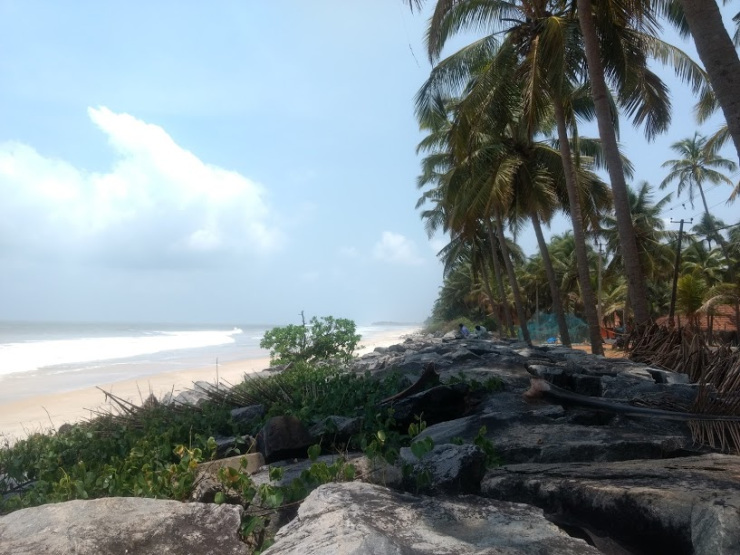 Photo of Waking Up in Udupi by Sheeba Kaul