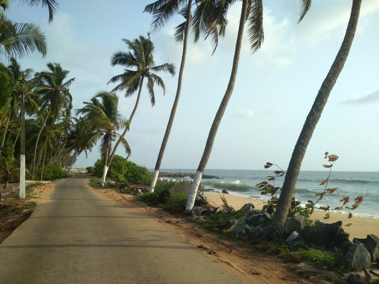 Photo of Waking Up in Udupi by Sheeba Kaul