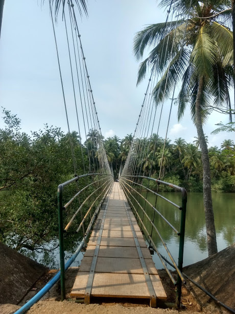 Photo of Waking Up in Udupi by Sheeba Kaul