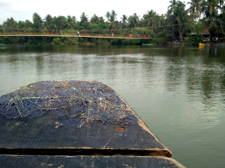 Photo of Waking Up in Udupi by Sheeba Kaul