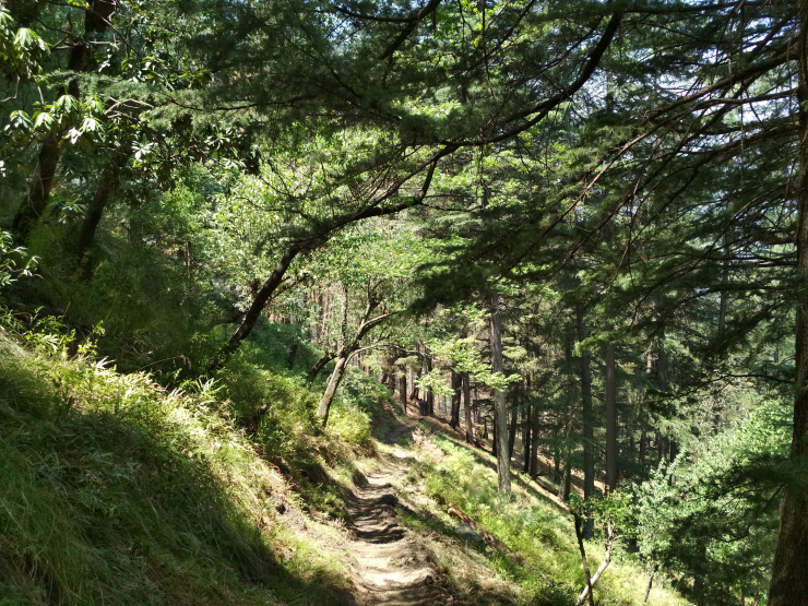 Photo of Journey To the Mountains Of Sar Pass: Trek From Kasol To Grahan Village by Sheeba Kaul