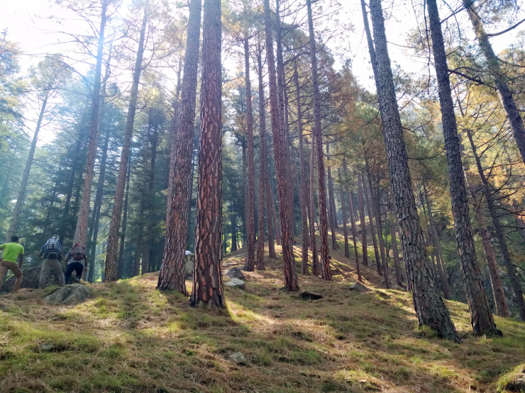Photo of Journey To the Mountains Of Sar Pass: Trek From Kasol To Grahan Village by Sheeba Kaul