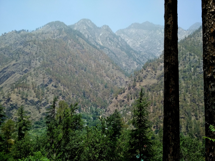 Photo of Journey To the Mountains Of Sar Pass: Trek From Kasol To Grahan Village by Sheeba Kaul