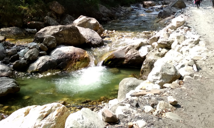 Photo of Journey To the Mountains Of Sar Pass: Trek From Kasol To Grahan Village by Sheeba Kaul