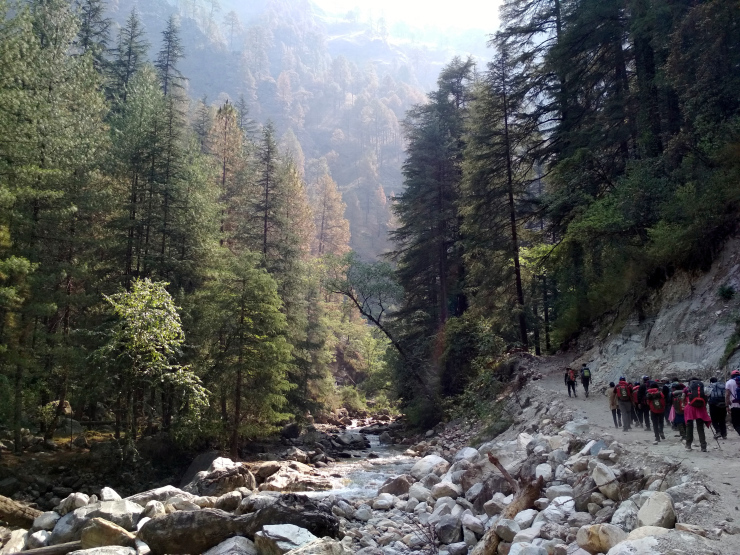 Photo of Journey To the Mountains Of Sar Pass: Trek From Kasol To Grahan Village by Sheeba Kaul