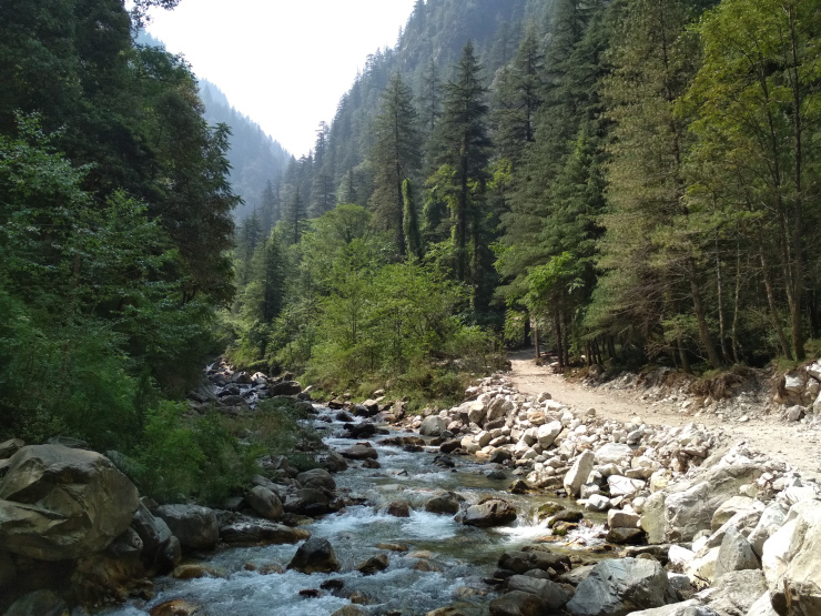 Photo of Journey To the Mountains Of Sar Pass: Trek From Kasol To Grahan Village by Sheeba Kaul