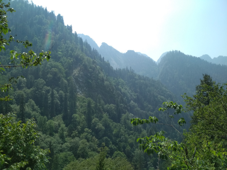 Photo of Journey To the Mountains Of Sar Pass: Trek From Kasol To Grahan Village by Sheeba Kaul