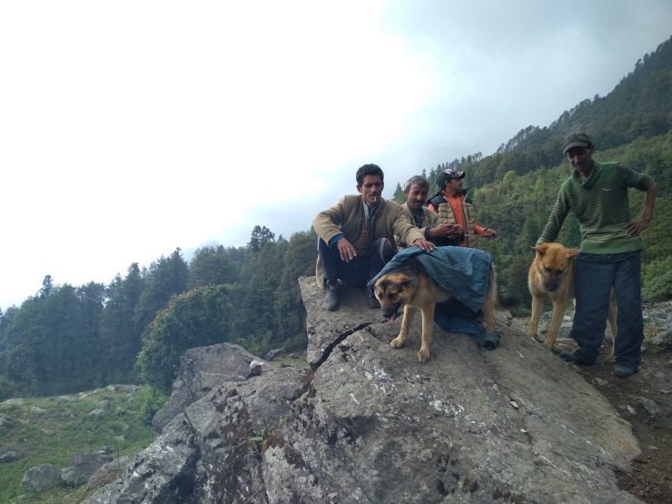 Photo of Bhandak Thatch, Barsheni Rd, Kalgha, Sosan, Himachal Pradesh, India by Sheeba Kaul