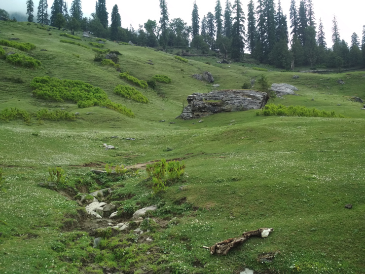 Photo of Why Not To Venture Out At Night When Trekking In The Mountains by Sheeba Kaul