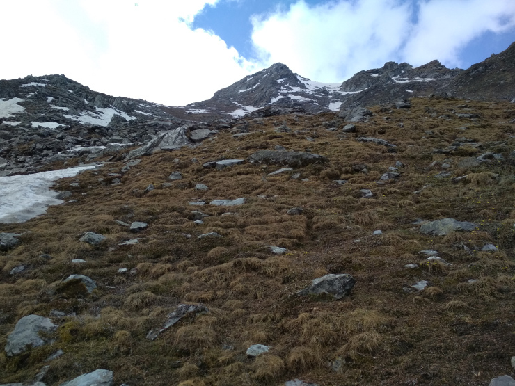 Photo of Why Not To Venture Out At Night When Trekking In The Mountains by Sheeba Kaul