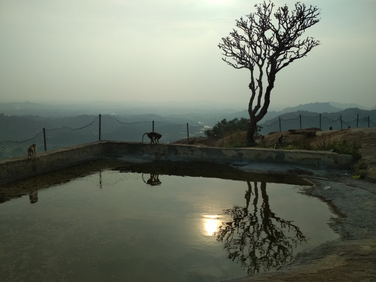 Photo of 5 Reasons to Never Say No to Hampi by Sheeba Kaul