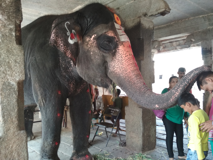 Photo of 5 Reasons to Never Say No to Hampi by Sheeba Kaul