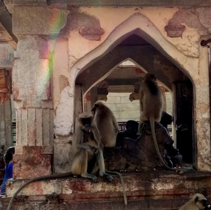 Photo of 5 Reasons to Never Say No to Hampi by Sheeba Kaul