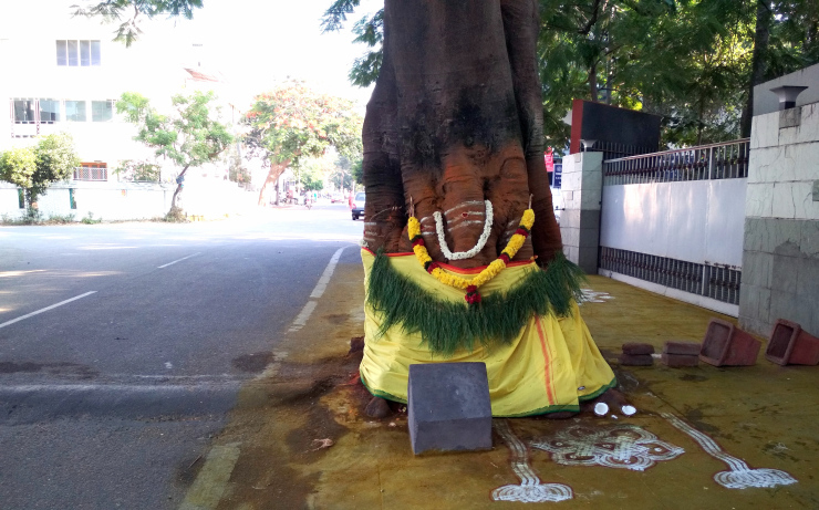 Photo of Journey to Isha Foundation and Ooty: A Solo Endeavor by Sheeba Kaul