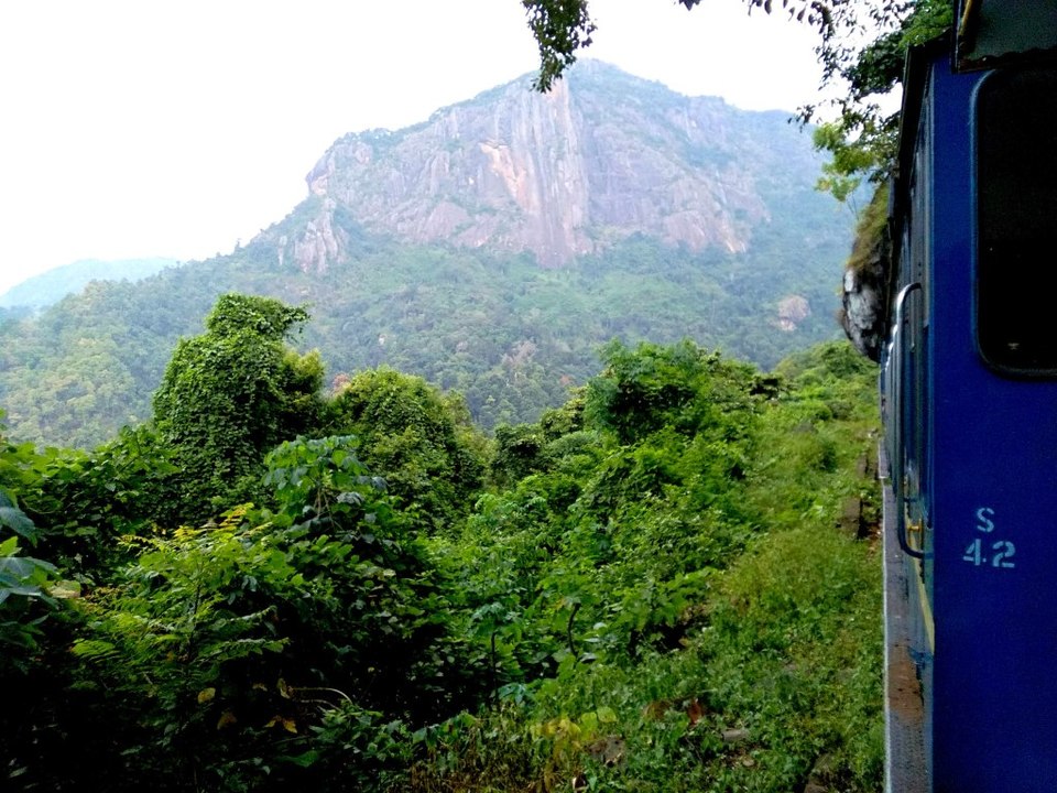 Photo of Journey to Isha Foundation and Ooty: A Solo Endeavor by Sheeba Kaul
