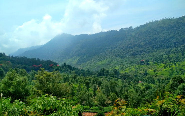 Photo of Journey to Isha Foundation and Ooty: A Solo Endeavor by Sheeba Kaul