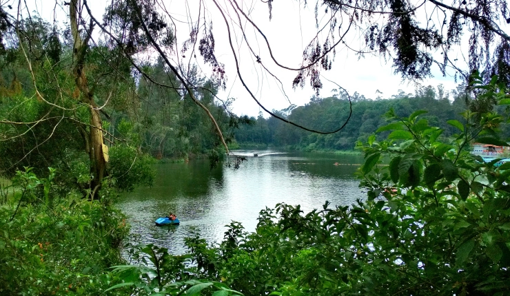 Photo of Ooty Lake, West Mere, Ooty, Tamil Nadu by Sheeba Kaul