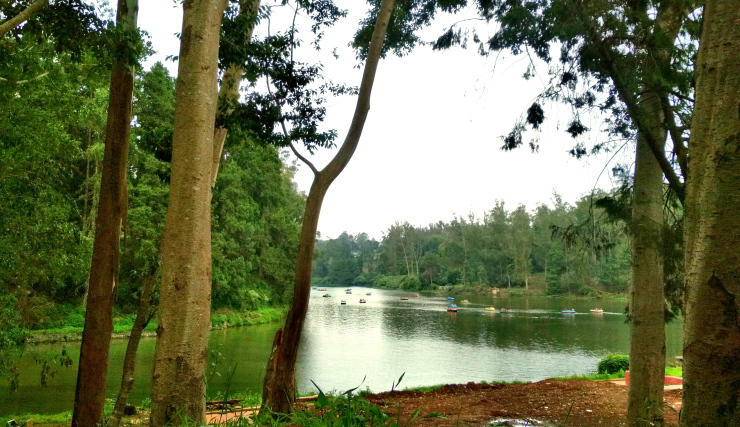 Photo of Journey to Isha Foundation and Ooty: A Solo Endeavor by Sheeba Kaul