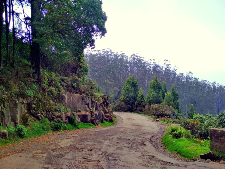 Photo of Journey to Isha Foundation and Ooty: A Solo Endeavor by Sheeba Kaul