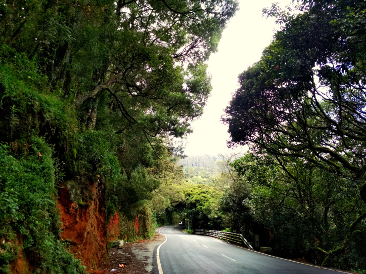 Photo of Journey to Isha Foundation and Ooty: A Solo Endeavor by Sheeba Kaul
