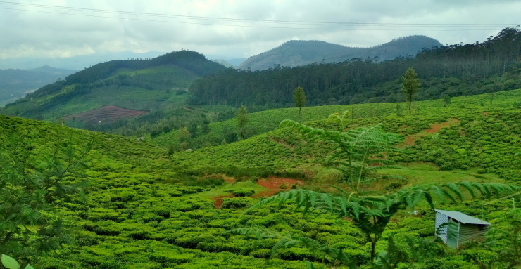 Photo of Journey to Isha Foundation and Ooty: A Solo Endeavor by Sheeba Kaul