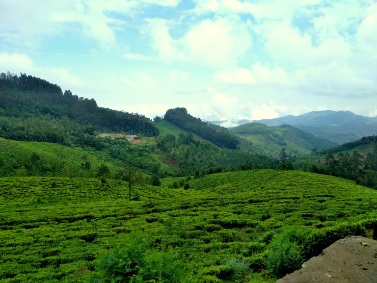 Photo of Journey to Isha Foundation and Ooty: A Solo Endeavor by Sheeba Kaul