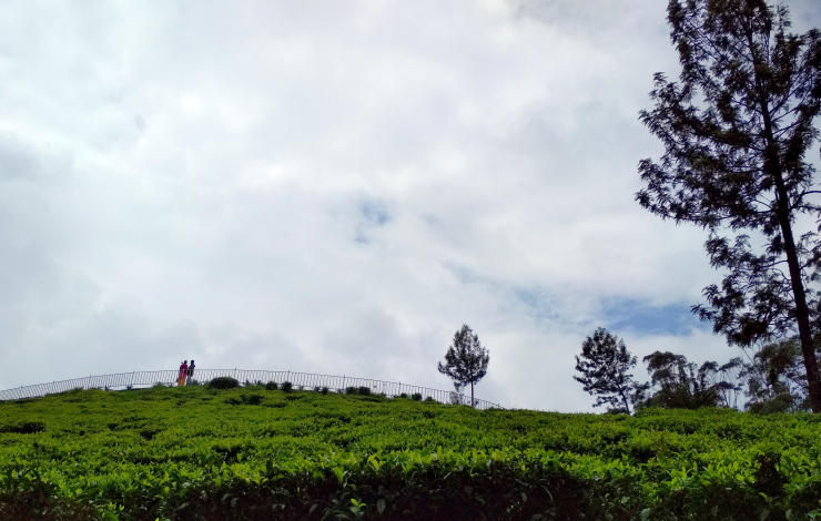 Photo of Journey to Isha Foundation and Ooty: A Solo Endeavor by Sheeba Kaul
