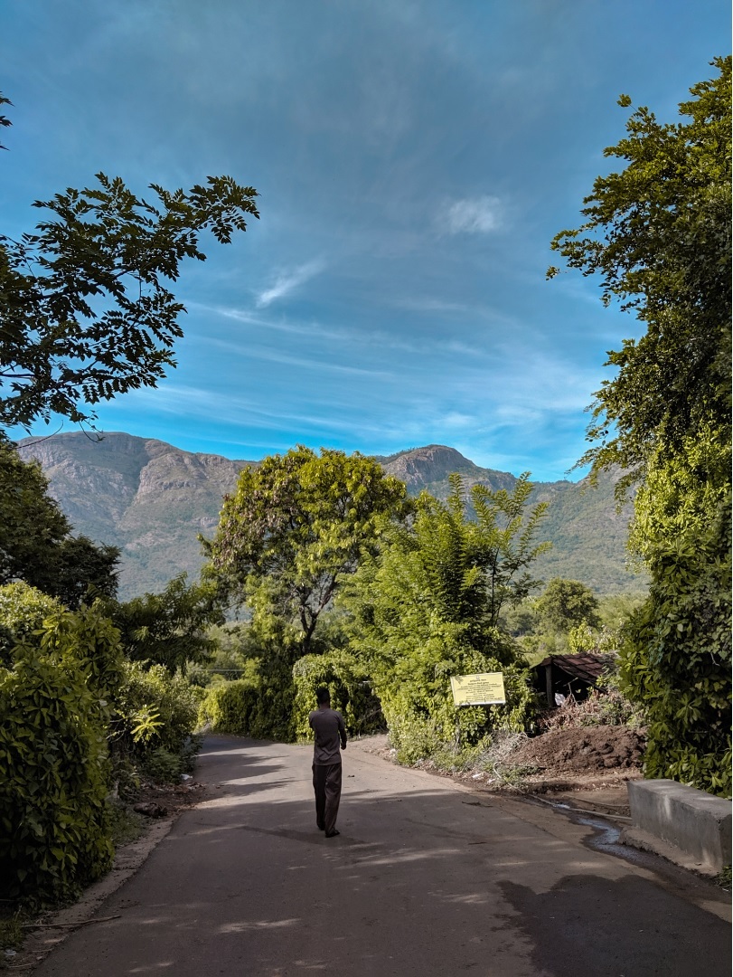 Photo of Masinagudi, Tamil Nadu, India by Niviya Vas