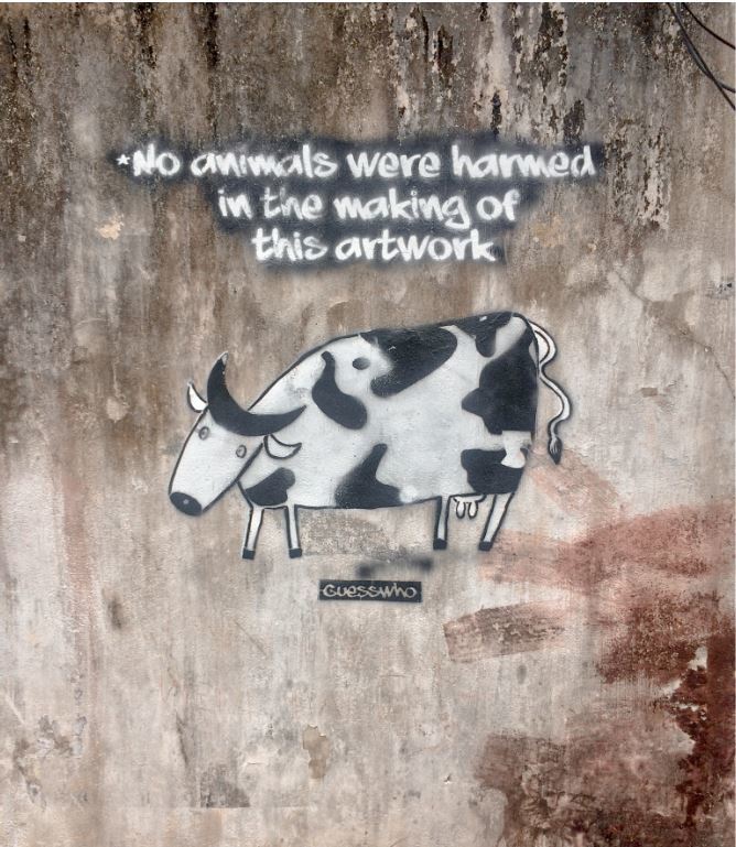 Photo of Fort Kochi, Kochi, Kerala, India by Niviya Vas