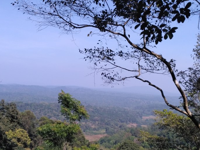Photo of Madikeri is your solution for a Winter weekend break...... by tanwistha gope