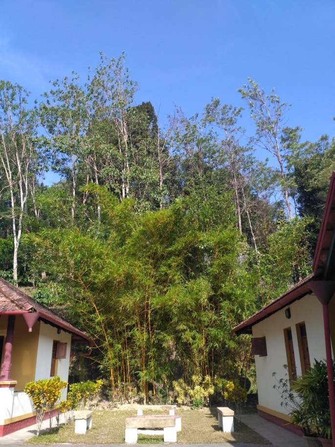 Photo of Madikeri is your solution for a Winter weekend break...... by tanwistha gope