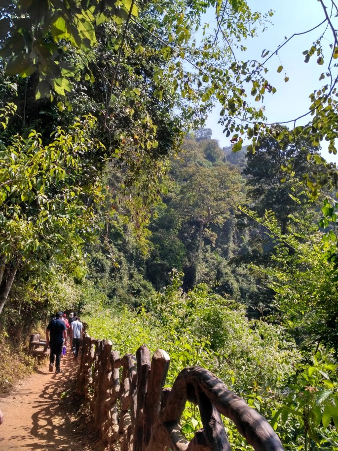 Photo of Hey Nature Walkers, thanks for sorting out my New Year's plan! by tanwistha gope