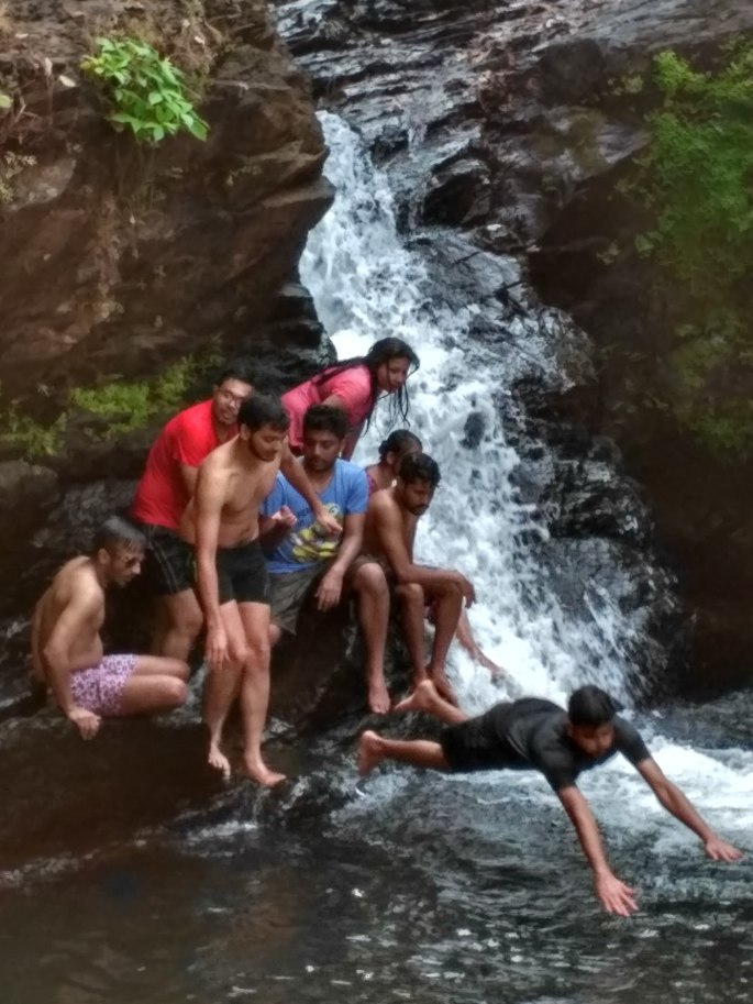 Photo of Hey Nature Walkers, thanks for sorting out my New Year's plan! by tanwistha gope