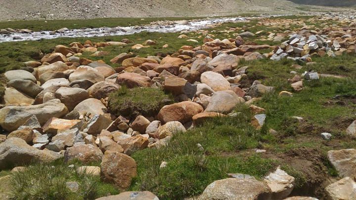 Photo of Nubra Valley, Leh by Krishna Dev