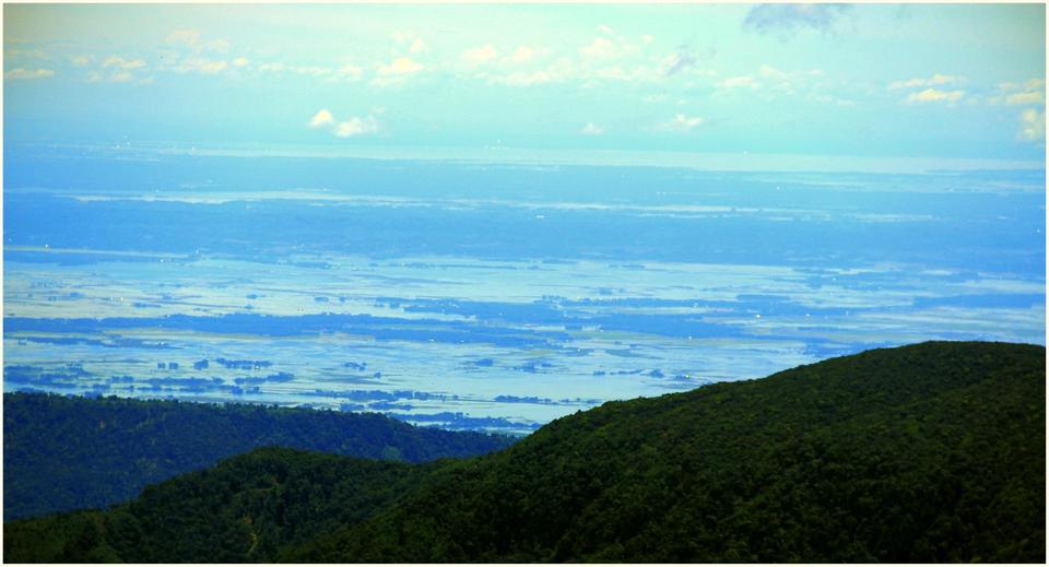 Photo of Meghalaya in Monsoons by Prabodh Sharma