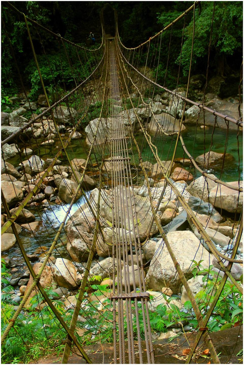 Photo of Meghalaya in Monsoons by Prabodh Sharma