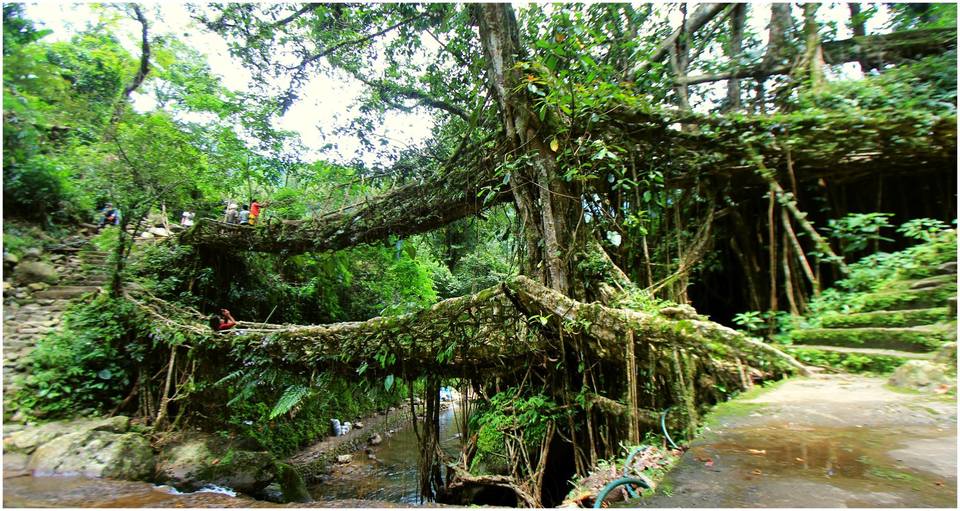 Photo of Meghalaya in Monsoons by Prabodh Sharma