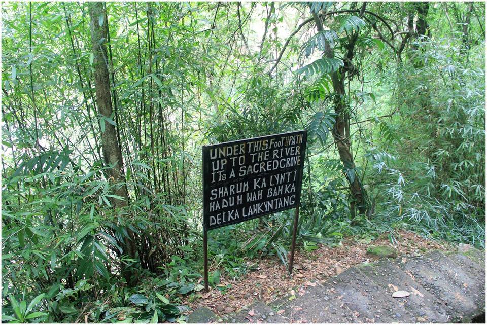 Photo of Meghalaya in Monsoons by Prabodh Sharma