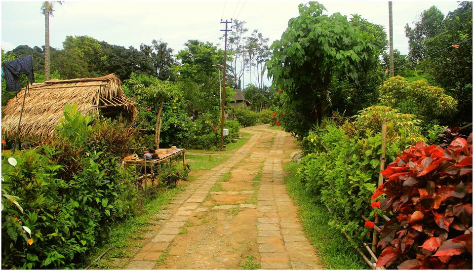 Photo of Meghalaya in Monsoons by Prabodh Sharma