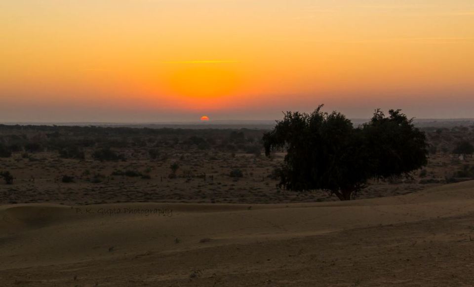 Photo of Sam Sand Dunes, Sand Dunes, Sam, Rajasthan, India by Map Camera Travel