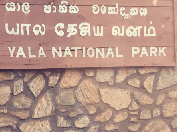 Photo of Yala National Park, Hambantota, Southern Province, Sri Lanka by Krupa