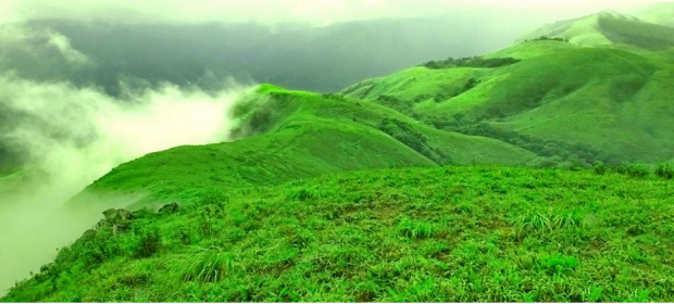 Photo of Discover COORG TRAILS with us - An Unconventional Experience 1/25 by Map Camera Travel